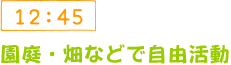 12:45 園庭・畑などで自由活動